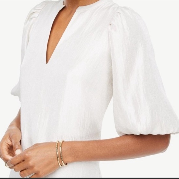 NWT Ann Taylor Metallic shimmer Puff Sleeve Dress size 8p Lined - Picture 3 of 9